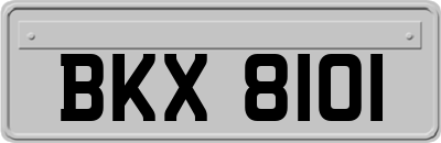BKX8101