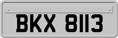BKX8113