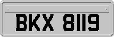 BKX8119