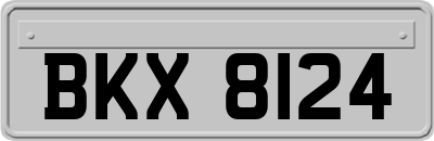 BKX8124