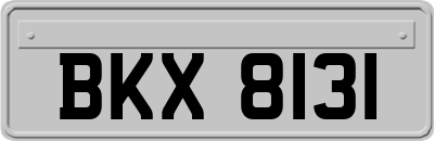 BKX8131