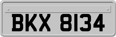 BKX8134