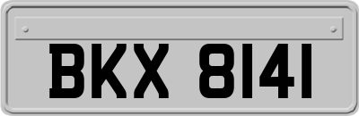 BKX8141