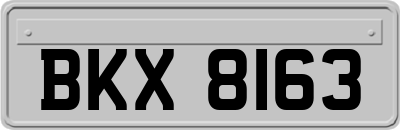 BKX8163
