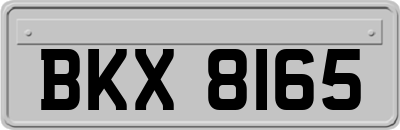 BKX8165