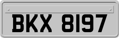 BKX8197