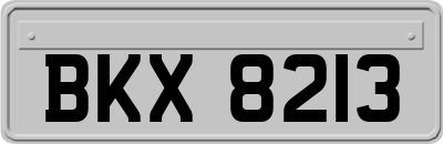 BKX8213