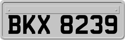 BKX8239