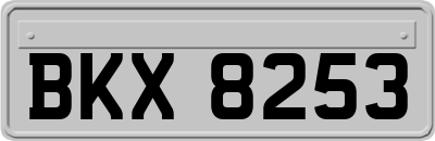 BKX8253