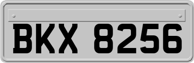 BKX8256