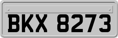 BKX8273