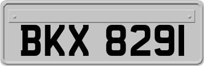 BKX8291