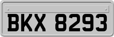 BKX8293