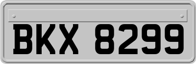 BKX8299