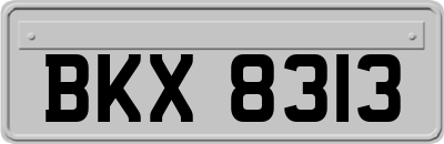 BKX8313