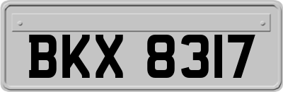 BKX8317