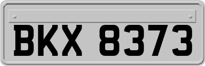 BKX8373