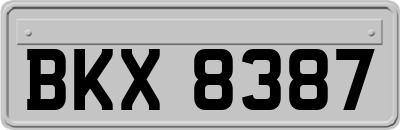 BKX8387