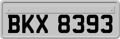 BKX8393
