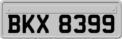 BKX8399