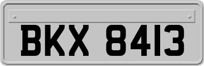 BKX8413