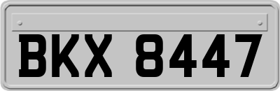 BKX8447