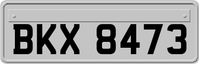 BKX8473