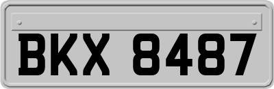BKX8487