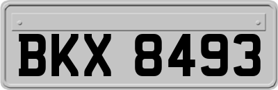 BKX8493