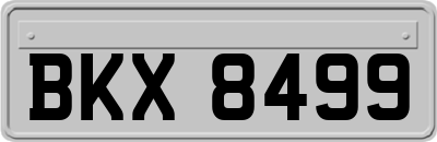BKX8499