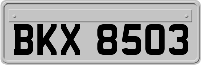 BKX8503