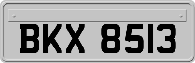 BKX8513