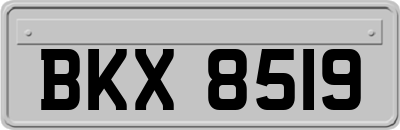 BKX8519