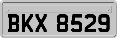 BKX8529