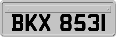 BKX8531