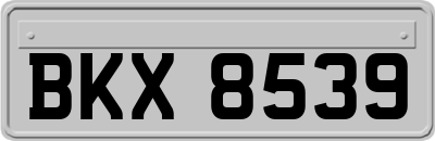 BKX8539