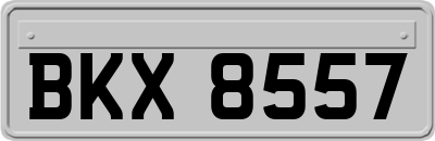 BKX8557