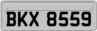 BKX8559