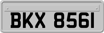 BKX8561