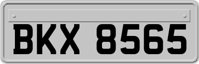 BKX8565