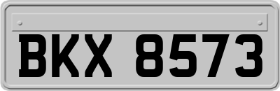 BKX8573