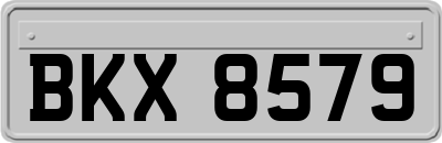 BKX8579