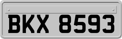 BKX8593