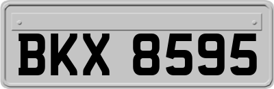BKX8595