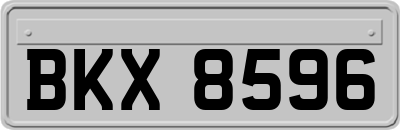 BKX8596