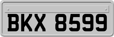 BKX8599