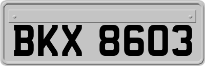BKX8603