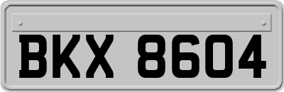 BKX8604