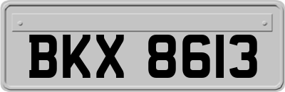 BKX8613