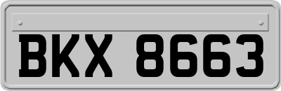 BKX8663